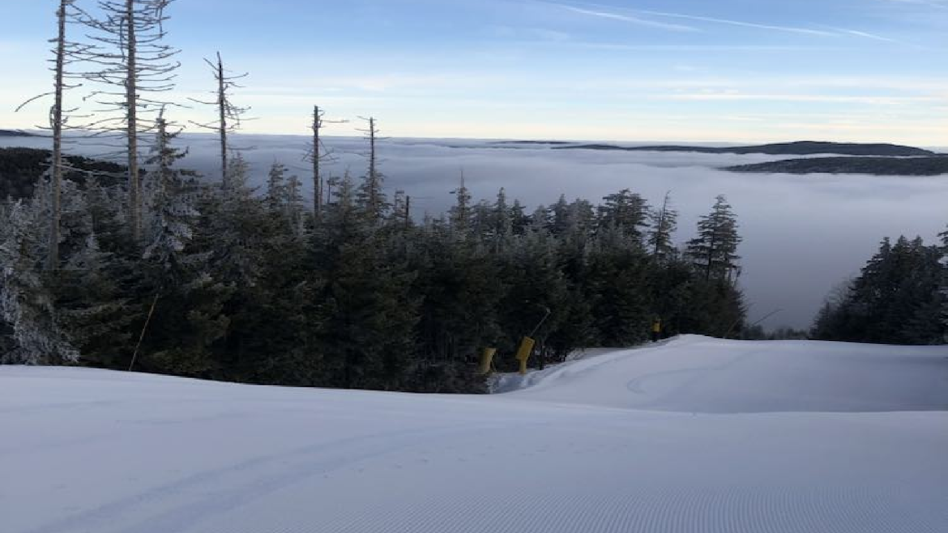 Счастливого Рождества от ваших друзей из SkiSoutheast