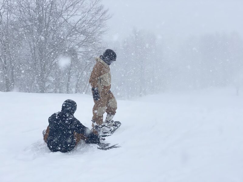 Iwatake, Япония. Изображение © Planetski