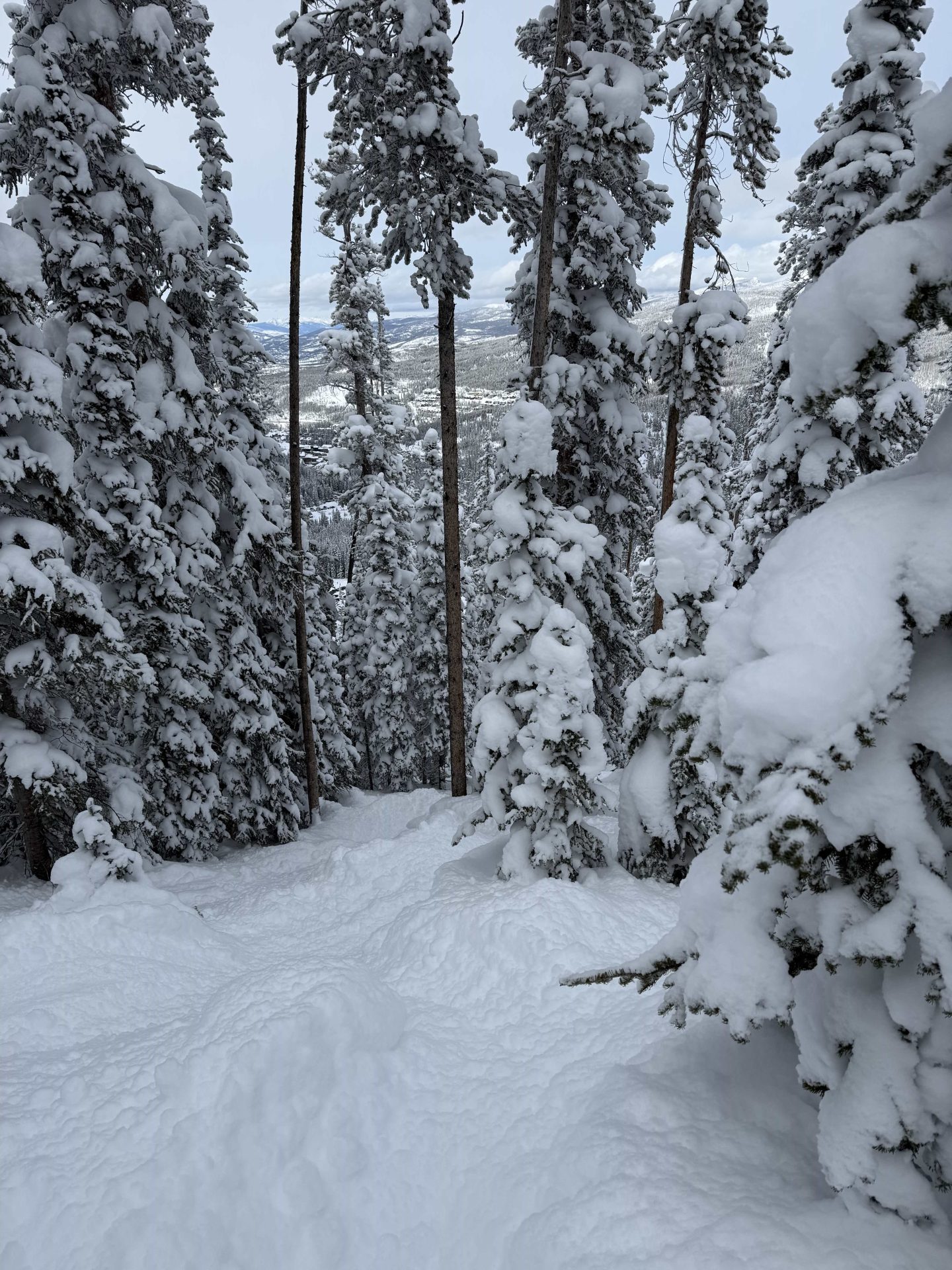 Winter Park, CO, отчет: 3 фута за 3 дня - это то, для чего мы живем