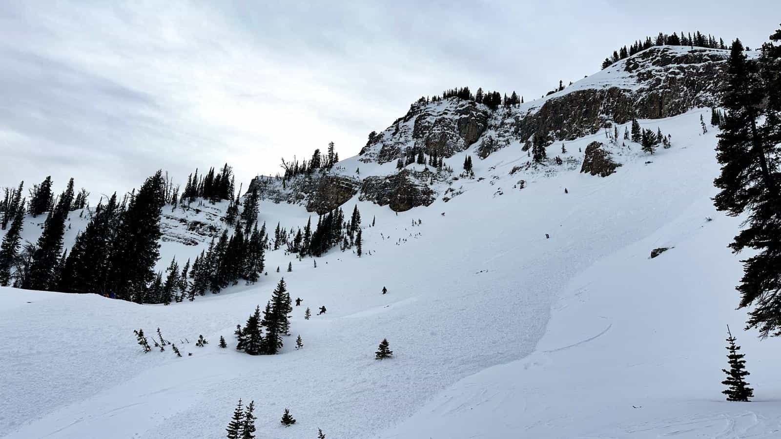 Jackson Hole Mountain Resort Avalanche