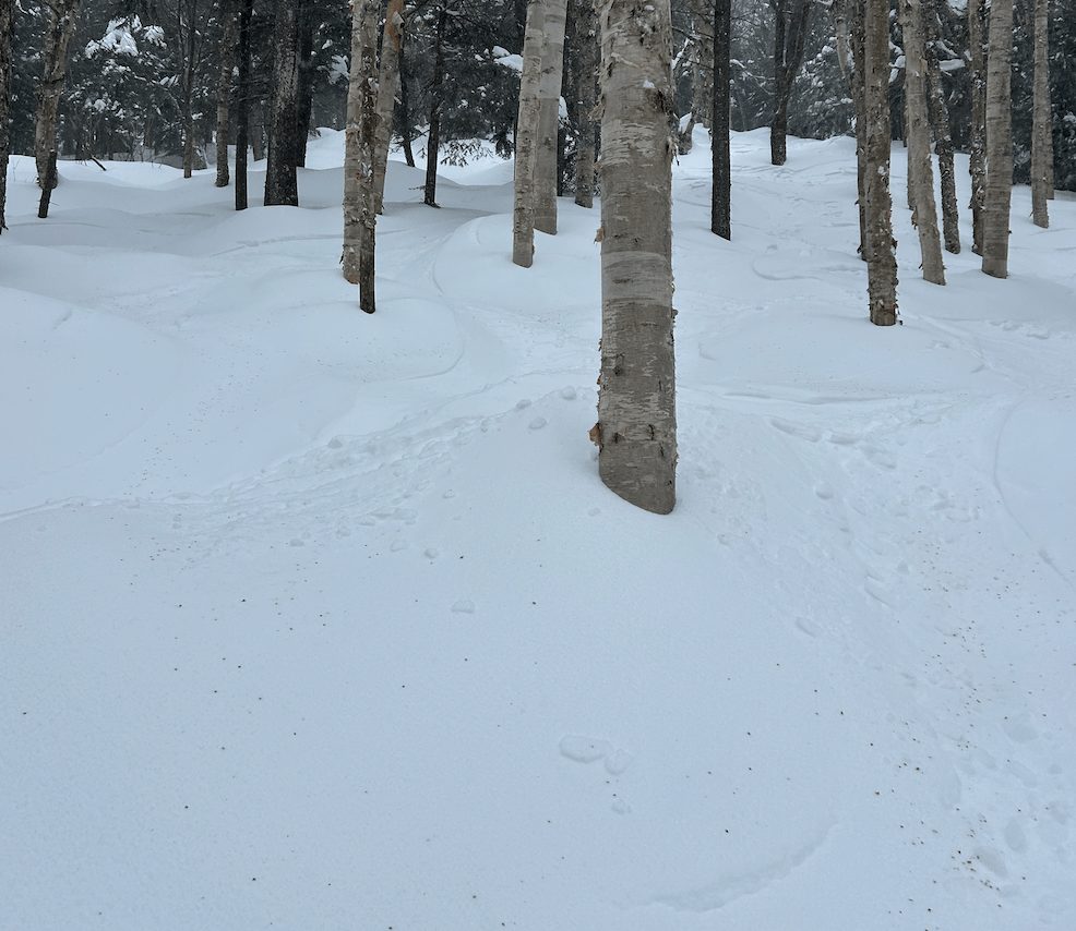 Stratton, VT, отчет: Wacky Bresitents Weekend Skiing